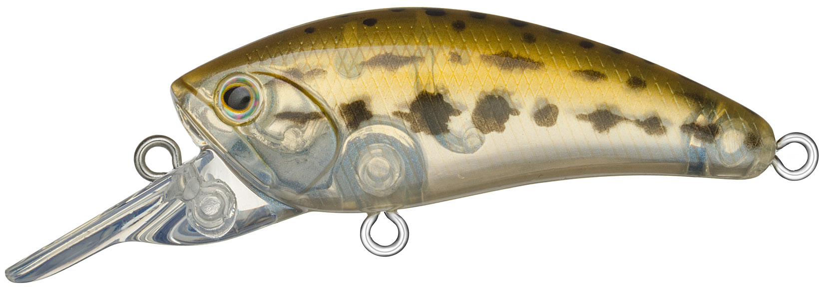 ダイビングダリア45F #BL1 ADJ（アブラドジョウ）