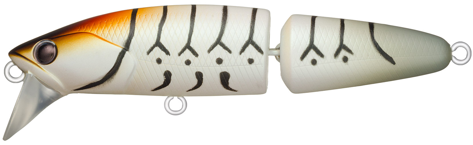 ジョイントダリア60S　#BL2-CAN（カヌレ）