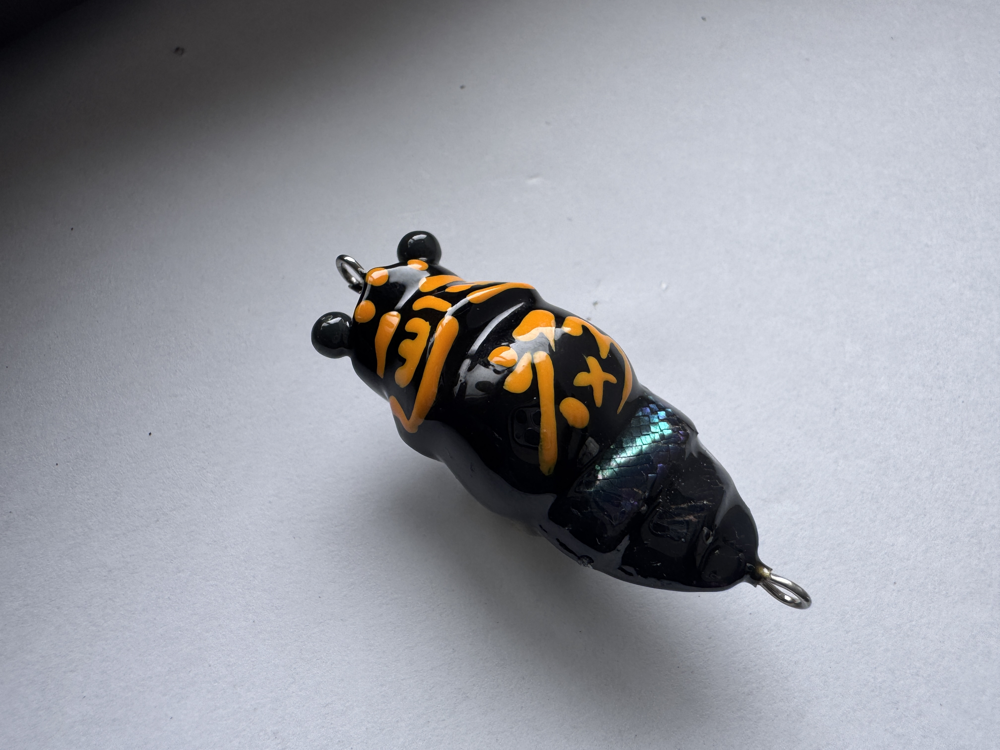 福蝉　黒アワビ